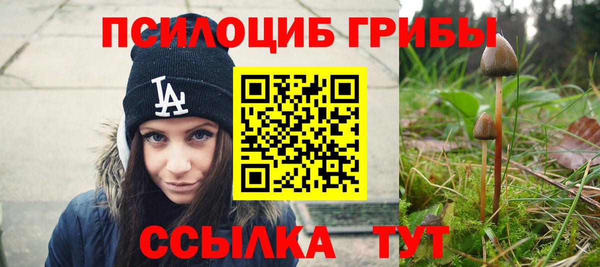 Галлюциногенные грибы Magic Shrooms Воскресенск