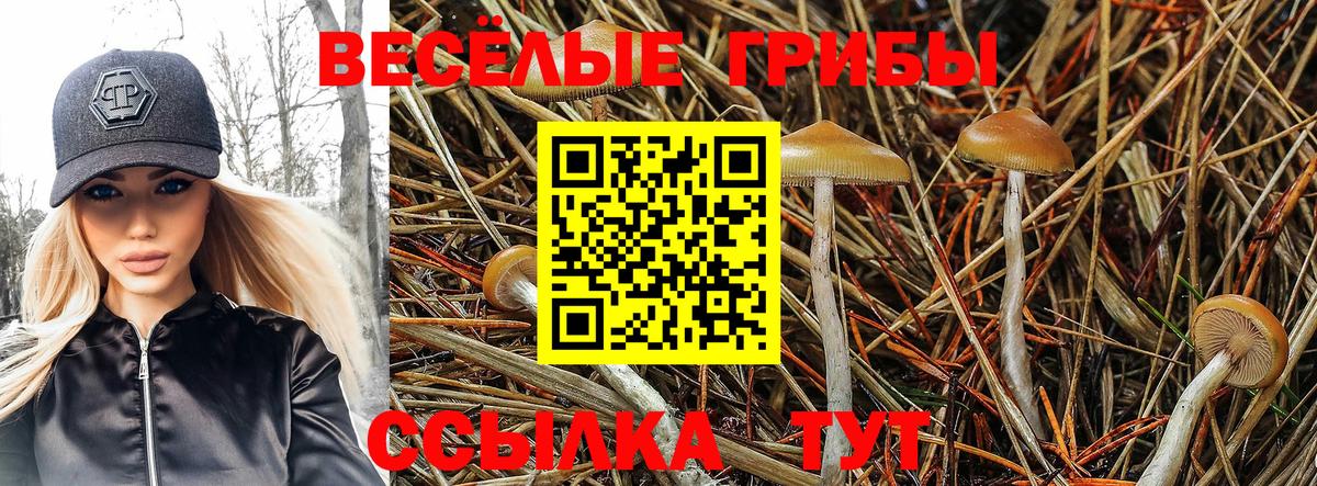 Псилоцибиновые грибы мухоморы  Вход с VPN  Галлюциногенные грибы Cubensis  Воскресенск 